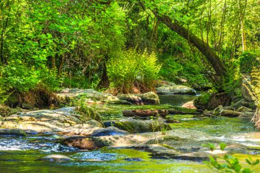 Brousse 'daki Dure Nehri' nin ve Fransa 'nın güneyindeki Villaret' in manzarası. Occitanie 'de küçük şelaleler ve çalılıklar.
