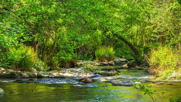Brousse 'daki Dure Nehri' nin ve Fransa 'nın güneyindeki Villaret' in manzarası. Occitanie 'de küçük şelaleler ve çalılıklar.