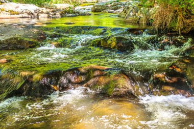 Brousse 'daki Dure Nehri' nin ve Fransa 'nın güneyindeki Villaret' in manzarası. Occitanie 'de küçük şelaleler ve çalılıklar.
