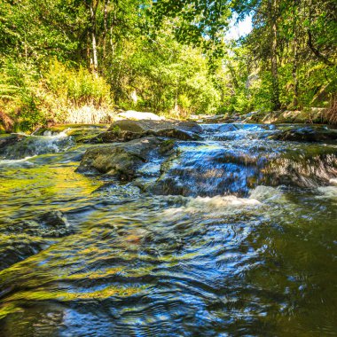 Brousse 'daki Dure Nehri' nin ve Fransa 'nın güneyindeki Villaret' in manzarası. Occitanie 'de küçük şelaleler ve çalılıklar.