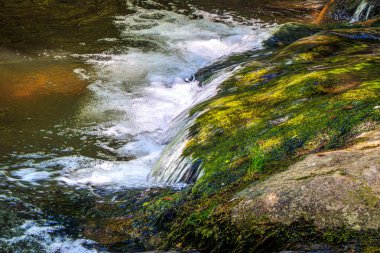Brousse 'daki Dure Nehri' nin ve Fransa 'nın güneyindeki Villaret' in manzarası. Occitanie 'de küçük şelaleler ve çalılıklar.