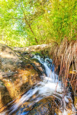 Brousse 'daki Dure Nehri' nin ve Fransa 'nın güneyindeki Villaret' in manzarası. Occitanie 'de küçük şelaleler ve çalılıklar.
