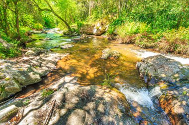 Brousse 'daki Dure Nehri' nin ve Fransa 'nın güneyindeki Villaret' in manzarası. Occitanie 'de küçük şelaleler ve çalılıklar.