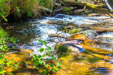 Brousse 'daki Dure Nehri' nin ve Fransa 'nın güneyindeki Villaret' in manzarası. Occitanie 'de küçük şelaleler ve çalılıklar.