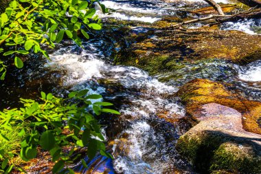 Brousse 'daki Dure Nehri' nin ve Fransa 'nın güneyindeki Villaret' in manzarası. Occitanie 'de küçük şelaleler ve çalılıklar.