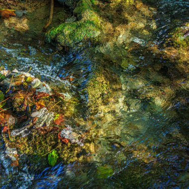 Fransa 'nın güneyinde Saint Affrique' de küçük bir dere. Baharda yeşilliğin ortasında Occitanie 'de Aveyron' da küçük şelaleler var..