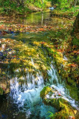 Fransa 'nın güneyinde Saint Affrique' de küçük bir dere. Baharda yeşilliğin ortasında Occitanie 'de Aveyron' da küçük şelaleler var..