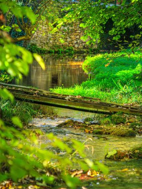 Fransa 'nın güneyinde Saint Affrique' de küçük bir dere. Baharda yeşilliğin ortasında Occitanie 'de Aveyron' da küçük şelaleler var..