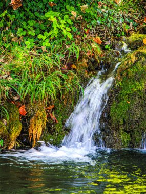 Fransa 'nın güneyinde Saint Affrique' de küçük bir dere. Baharda yeşilliğin ortasında Occitanie 'de Aveyron' da küçük şelaleler var..