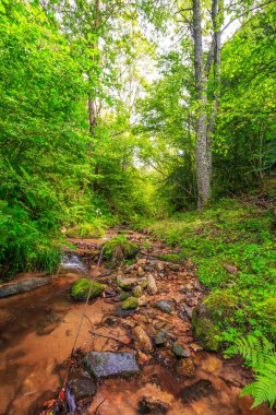 Escouloubres Vadisi 'nin manzarası karın altında, Pireneler' de, Fransa 'da