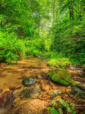 Escouloubres Vadisi 'nin manzarası karın altında, Pireneler' de, Fransa 'da