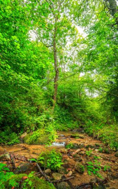 Escouloubres Vadisi 'nin manzarası karın altında, Pireneler' de, Fransa 'da