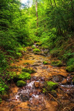 Escouloubres Vadisi 'nin manzarası karın altında, Pireneler' de, Fransa 'da