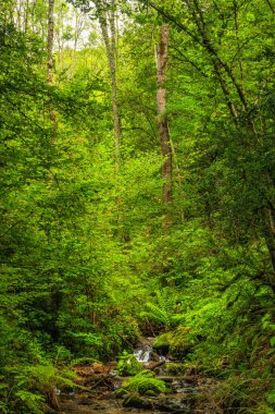 Escouloubres Vadisi 'nin manzarası karın altında, Pireneler' de, Fransa 'da