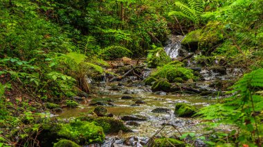 Escouloubres Vadisi 'nin manzarası karın altında, Pireneler' de, Fransa 'da
