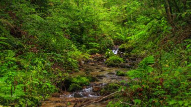 Escouloubres Vadisi 'nin manzarası karın altında, Pireneler' de, Fransa 'da
