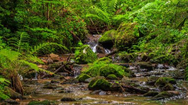 Escouloubres Vadisi 'nin manzarası karın altında, Pireneler' de, Fransa 'da