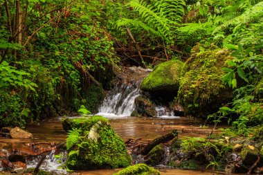 Escouloubres Vadisi 'nin manzarası karın altında, Pireneler' de, Fransa 'da