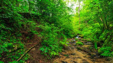 Escouloubres Vadisi 'nin manzarası karın altında, Pireneler' de, Fransa 'da