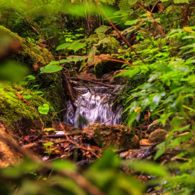 Escouloubres Vadisi 'nin manzarası karın altında, Pireneler' de, Fransa 'da