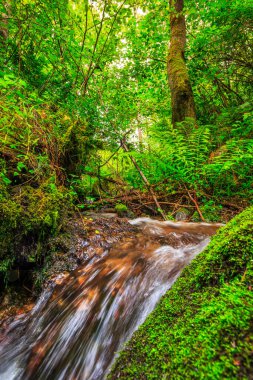 Escouloubres Vadisi 'nin manzarası karın altında, Pireneler' de, Fransa 'da
