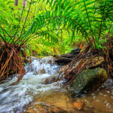 Escouloubres Vadisi 'nin manzarası karın altında, Pireneler' de, Fransa 'da