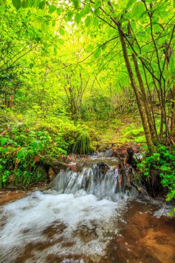 Escouloubres Vadisi 'nin manzarası karın altında, Pireneler' de, Fransa 'da