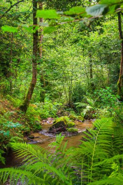 Escouloubres Vadisi 'nin manzarası karın altında, Pireneler' de, Fransa 'da