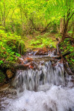 Escouloubres Vadisi 'nin manzarası karın altında, Pireneler' de, Fransa 'da