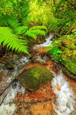 Escouloubres Vadisi 'nin manzarası karın altında, Pireneler' de, Fransa 'da