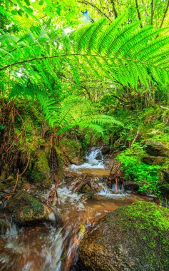 Escouloubres Vadisi 'nin manzarası karın altında, Pireneler' de, Fransa 'da