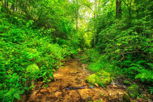 Escouloubres Vadisi 'nin manzarası karın altında, Pireneler' de, Fransa 'da