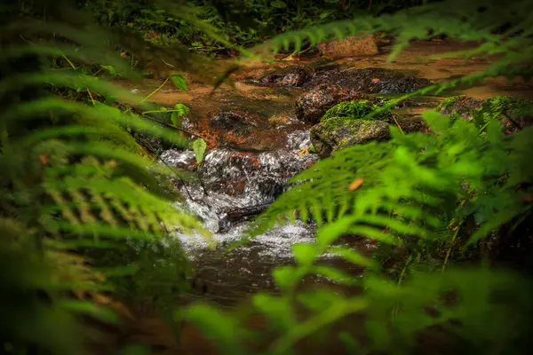 Escouloubres Vadisi 'nin manzarası karın altında, Pireneler' de, Fransa 'da