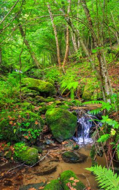 Escouloubres Vadisi 'nin manzarası karın altında, Pireneler' de, Fransa 'da
