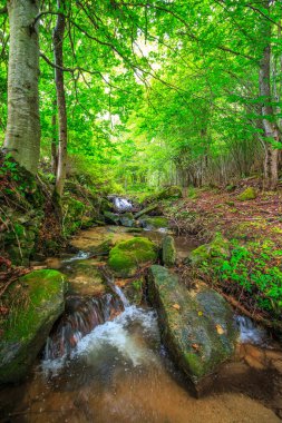 Escouloubres Vadisi 'nin manzarası karın altında, Pireneler' de, Fransa 'da