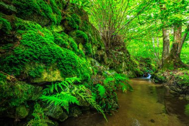 Escouloubres Vadisi 'nin manzarası karın altında, Pireneler' de, Fransa 'da