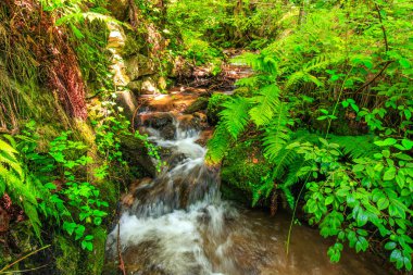 Escouloubres Vadisi 'nin manzarası karın altında, Pireneler' de, Fransa 'da