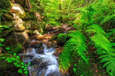 Escouloubres Vadisi 'nin manzarası karın altında, Pireneler' de, Fransa 'da