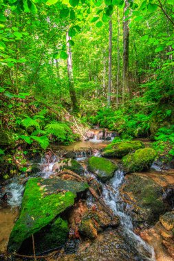Escouloubres Vadisi 'nin manzarası karın altında, Pireneler' de, Fransa 'da