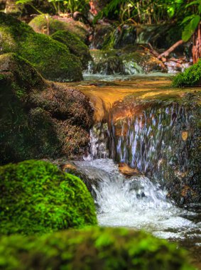 Escouloubres Vadisi 'nin manzarası karın altında, Pireneler' de, Fransa 'da