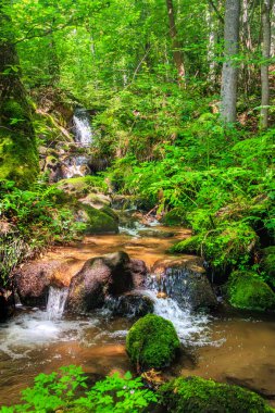 Escouloubres Vadisi 'nin manzarası karın altında, Pireneler' de, Fransa 'da