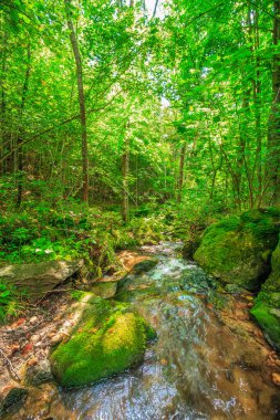Escouloubres Vadisi 'nin manzarası karın altında, Pireneler' de, Fransa 'da