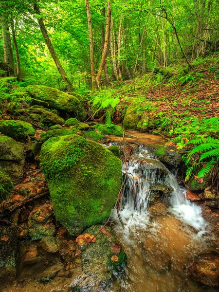 Escouloubres Vadisi 'nin manzarası karın altında, Pireneler' de, Fransa 'da
