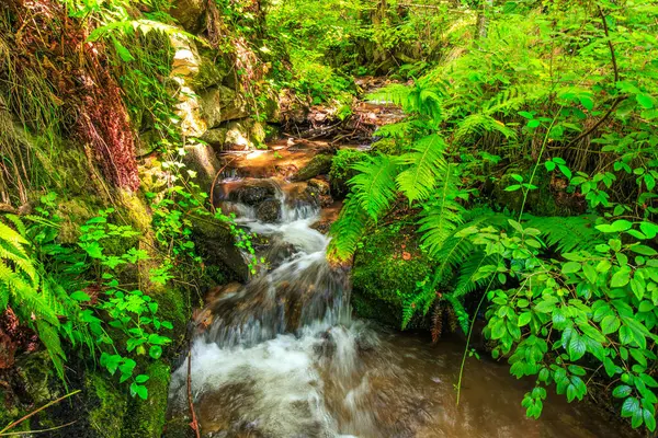 Escouloubres Vadisi 'nin manzarası karın altında, Pireneler' de, Fransa 'da