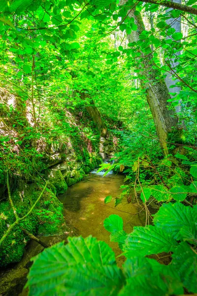 Escouloubres Vadisi 'nin manzarası karın altında, Pireneler' de, Fransa 'da