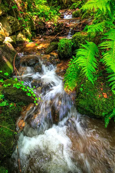 Escouloubres Vadisi 'nin manzarası karın altında, Pireneler' de, Fransa 'da