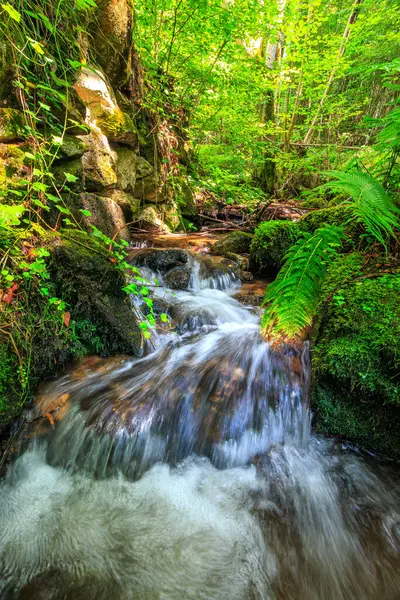 Escouloubres Vadisi 'nin manzarası karın altında, Pireneler' de, Fransa 'da