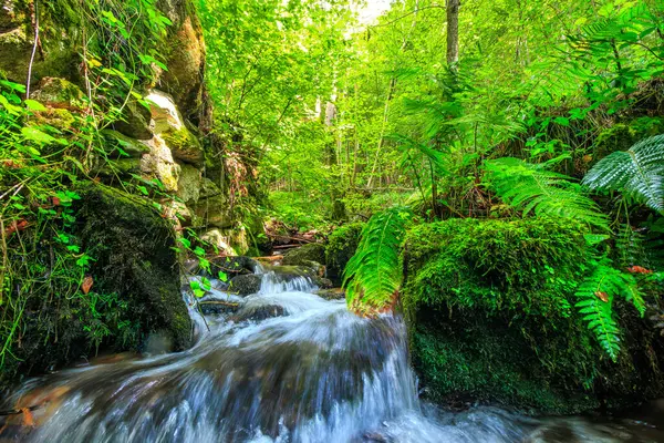 Escouloubres Vadisi 'nin manzarası karın altında, Pireneler' de, Fransa 'da