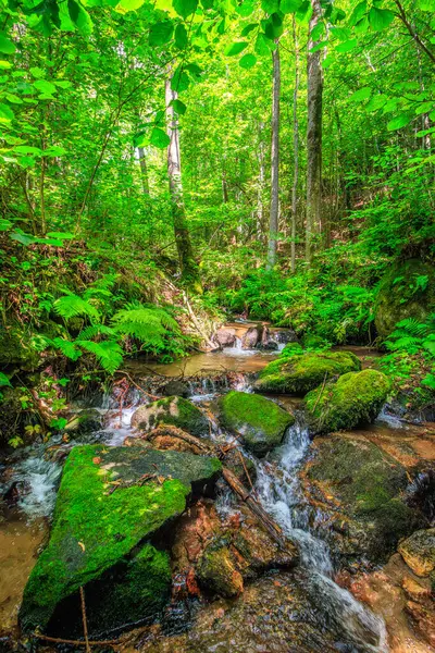 Escouloubres Vadisi 'nin manzarası karın altında, Pireneler' de, Fransa 'da