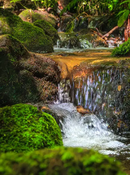 Escouloubres Vadisi 'nin manzarası karın altında, Pireneler' de, Fransa 'da